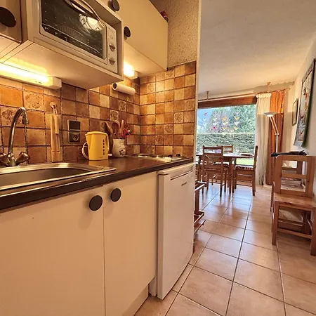 Apartment Cosy Avec Jardin Privatif A - Fr-1-603-110 Praz-sur-Arly
