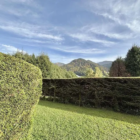 Cosy Avec Jardin Privatif à - Fr-1-603-110 * Praz-sur-Arly